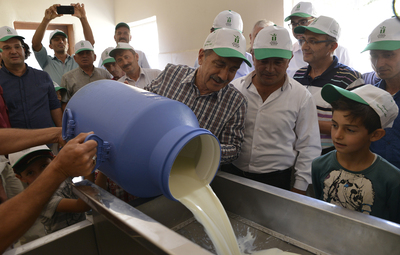 GÜNLÜK 6 TON SÜT İŞLENİYOR